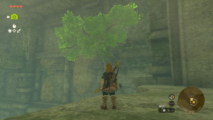Link standing by a tree in the Forgotten Temple.
